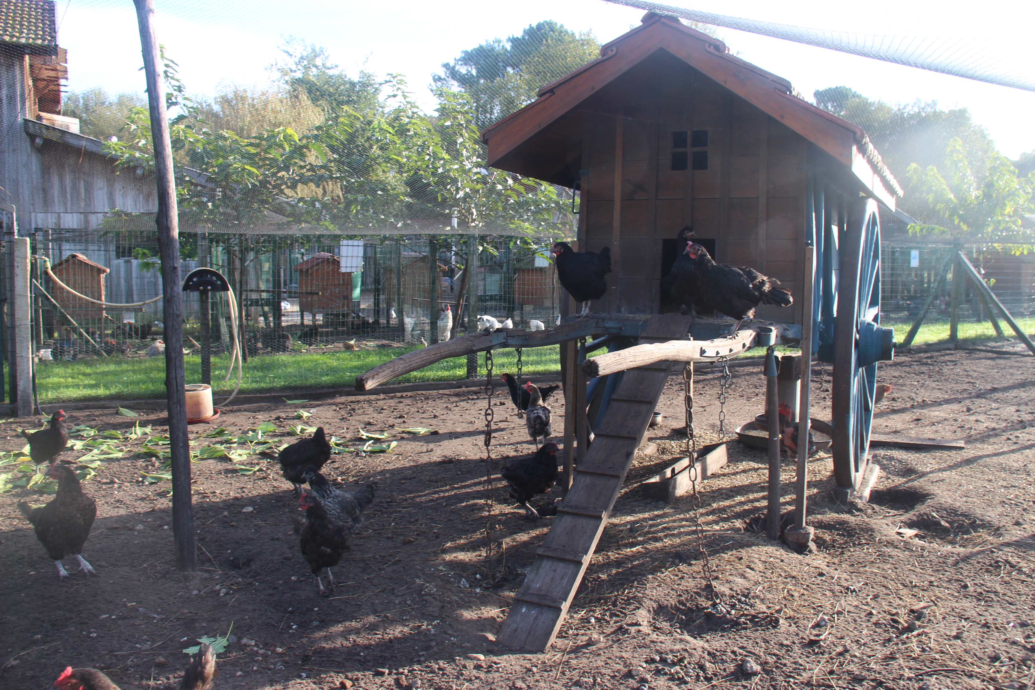 Ferme pédagogique au Musée des traditions