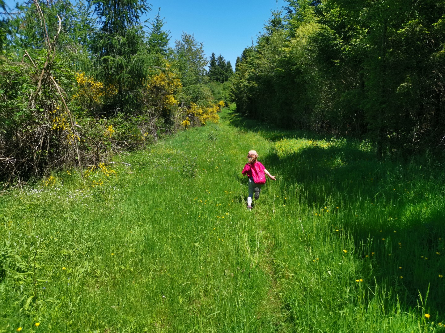 Circuit N°63 CC : Sentier "Histoire et Patrimoine" - Variante Ouest