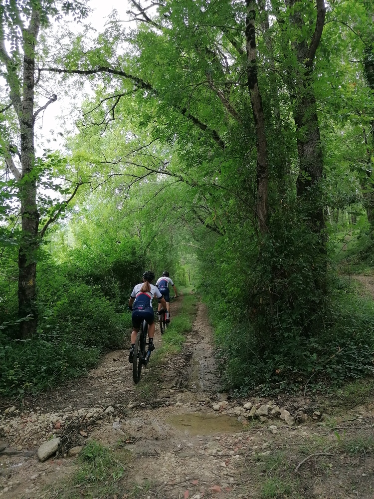 Circuit VTT n°1 - Prayssas
