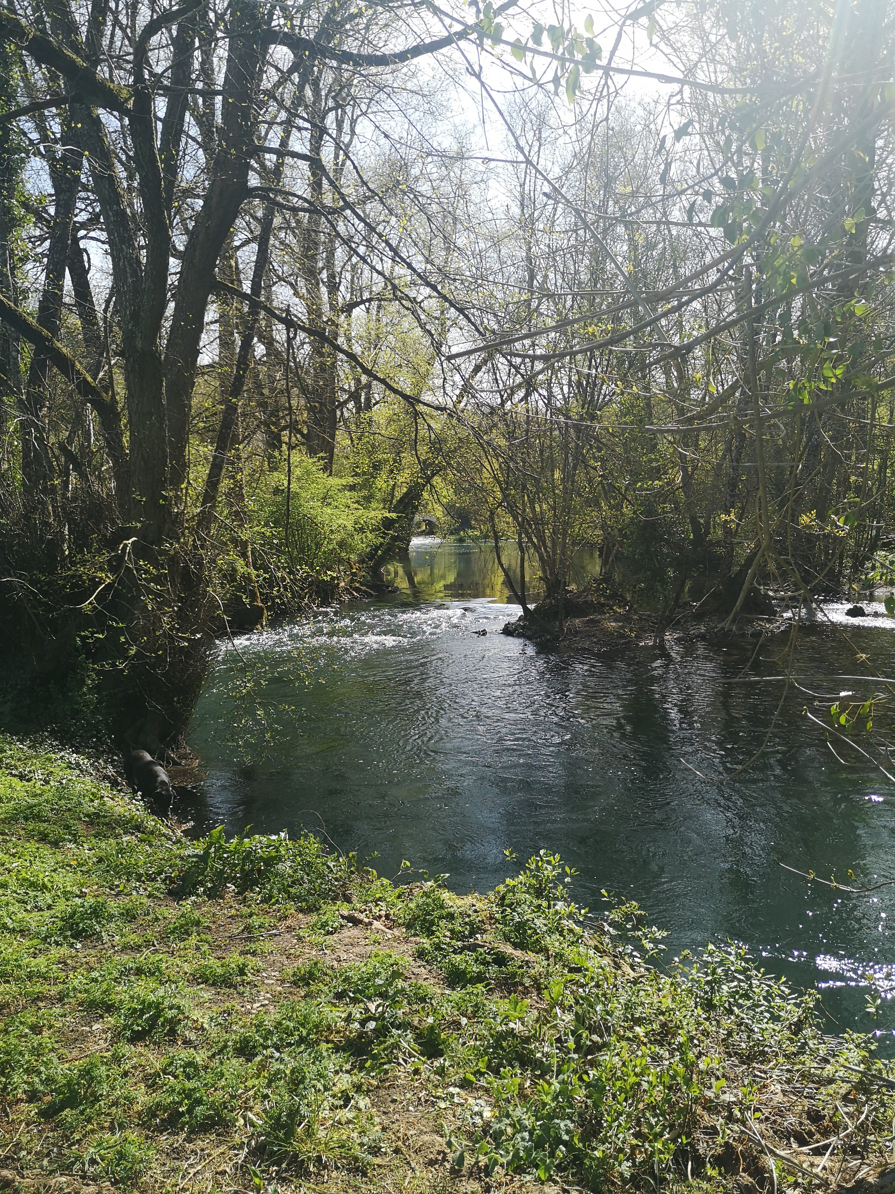 Domaine d'Ancia