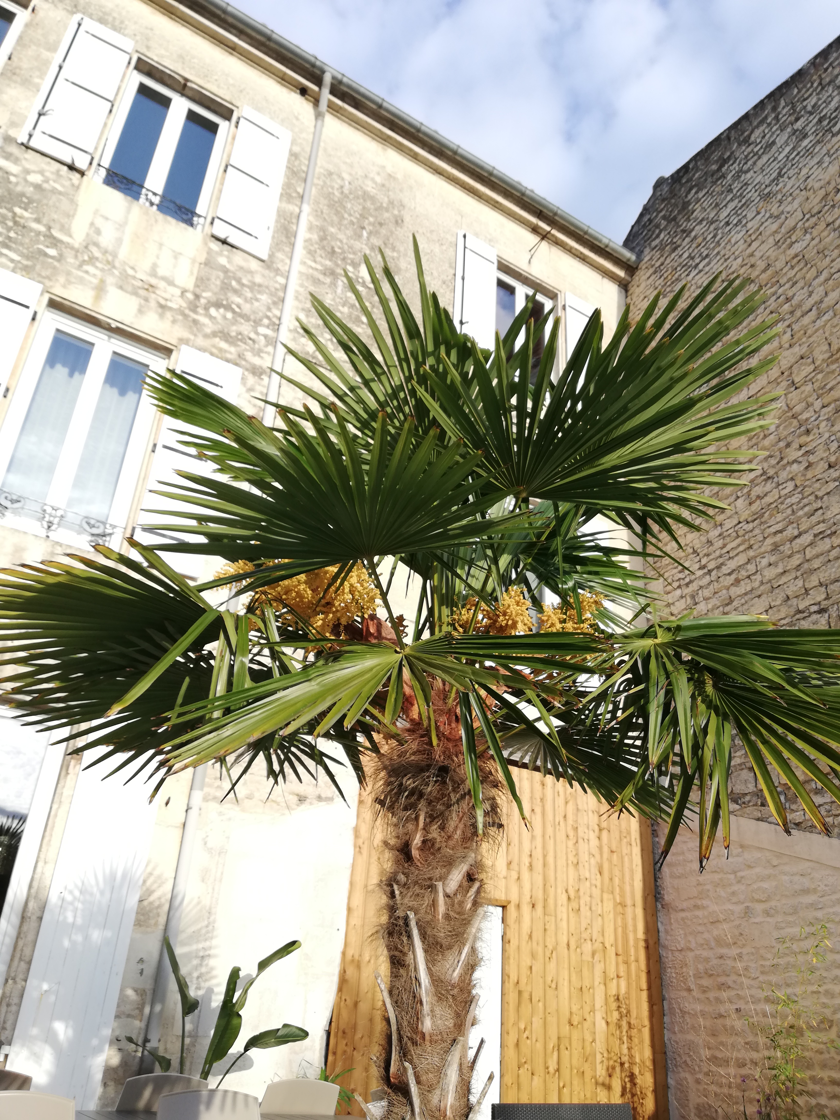 L'Angély
