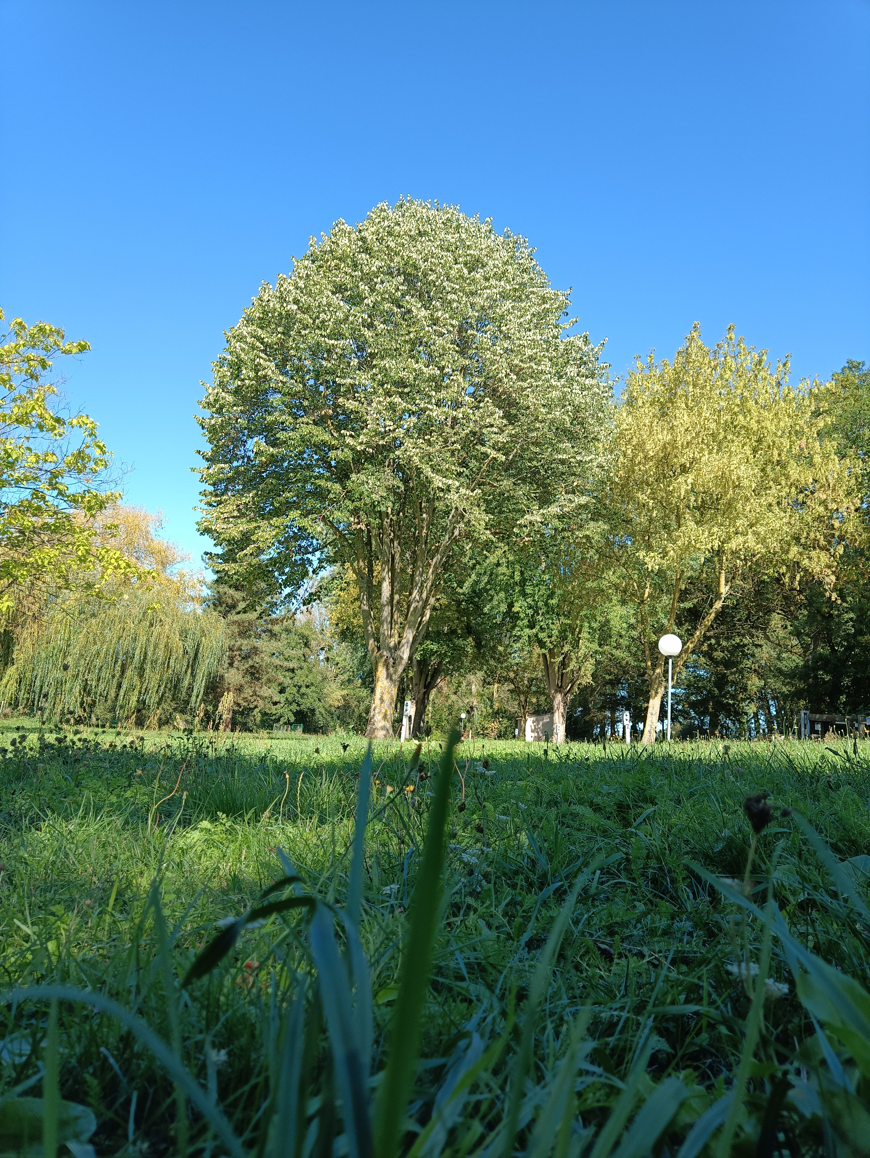 Camping Les Planches