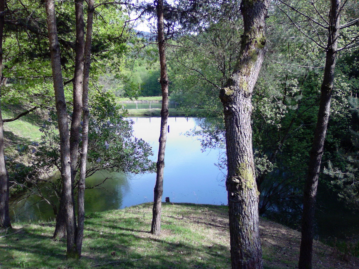 Gîte à Saint-Hilaire-Peyroux