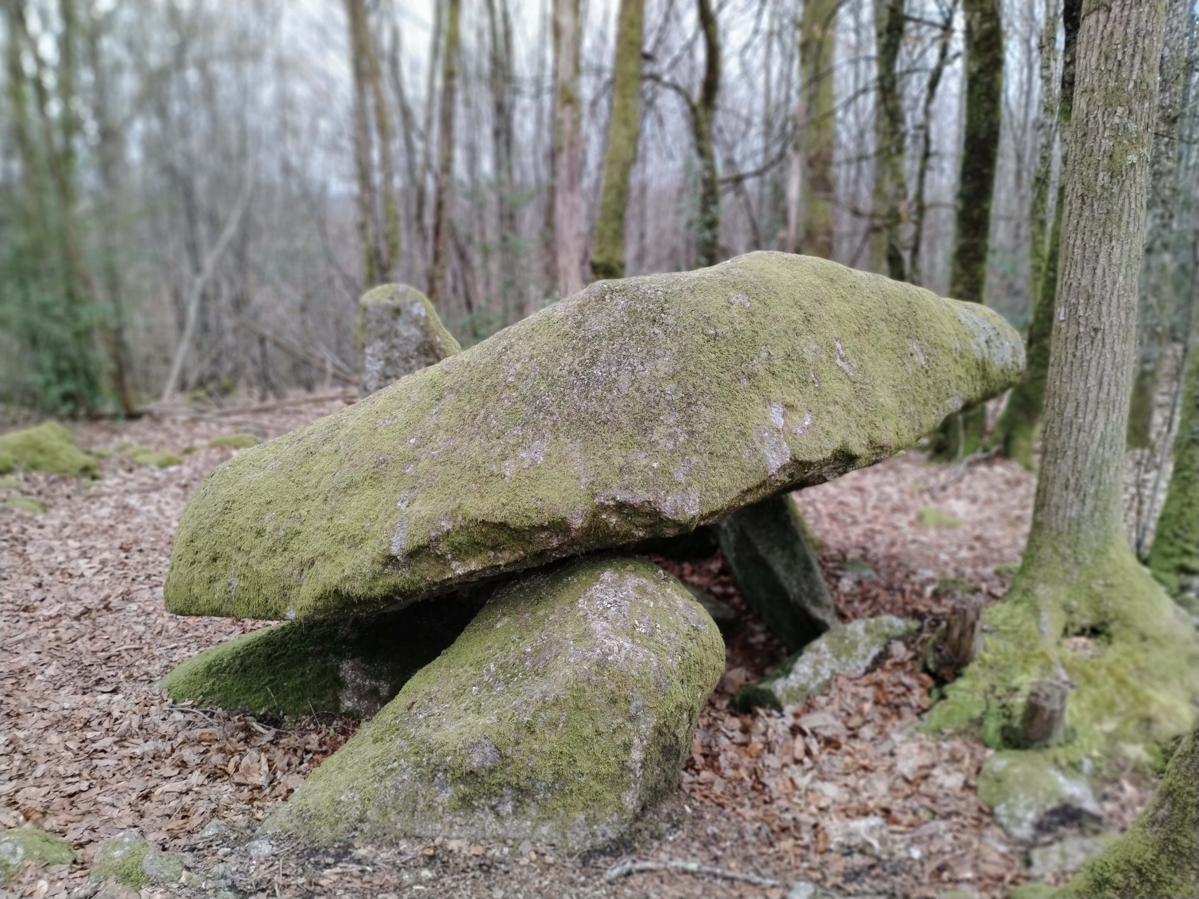 Sentier de l'Ermite