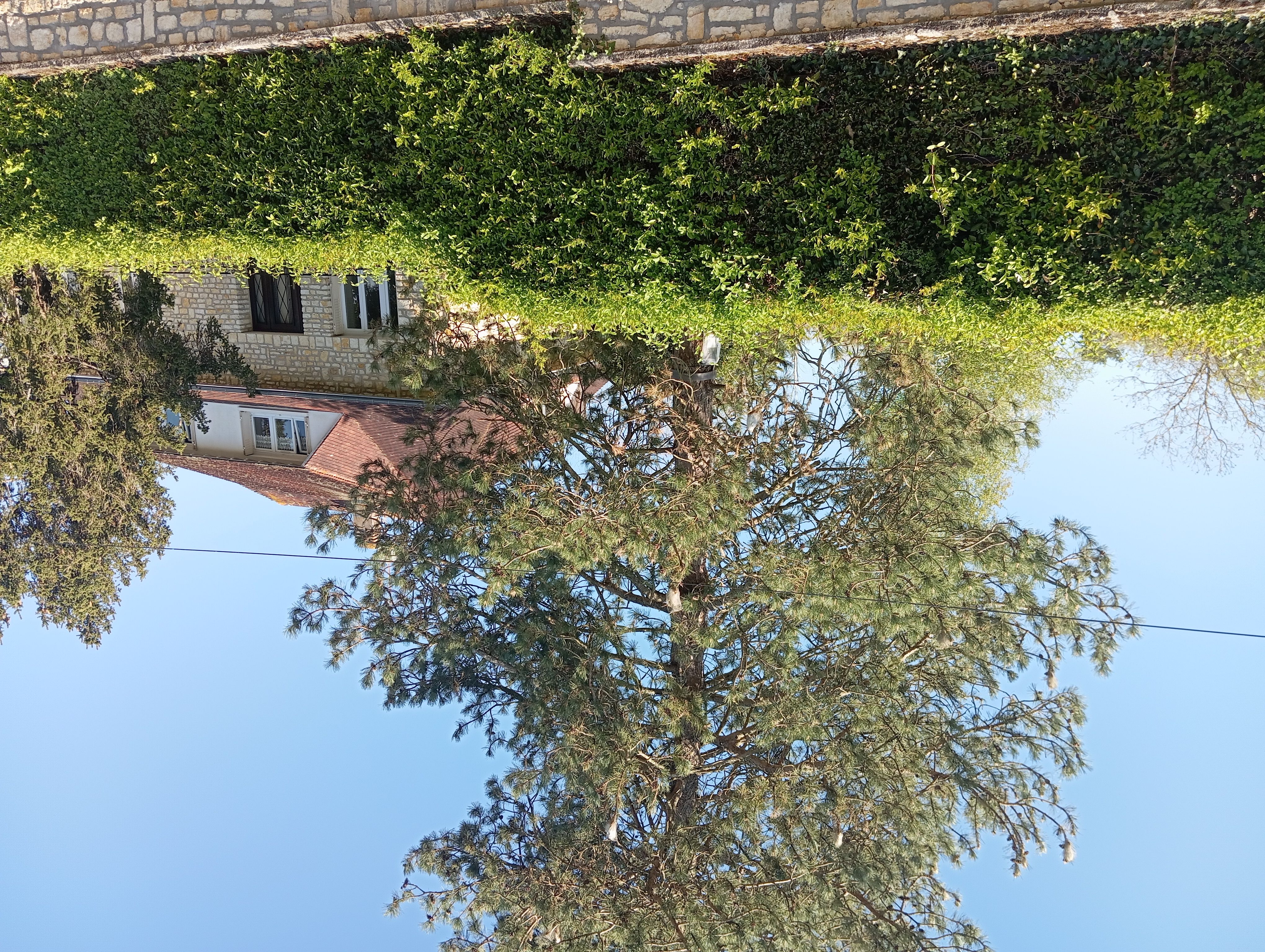 Villa Beauregard - Appt. 2
