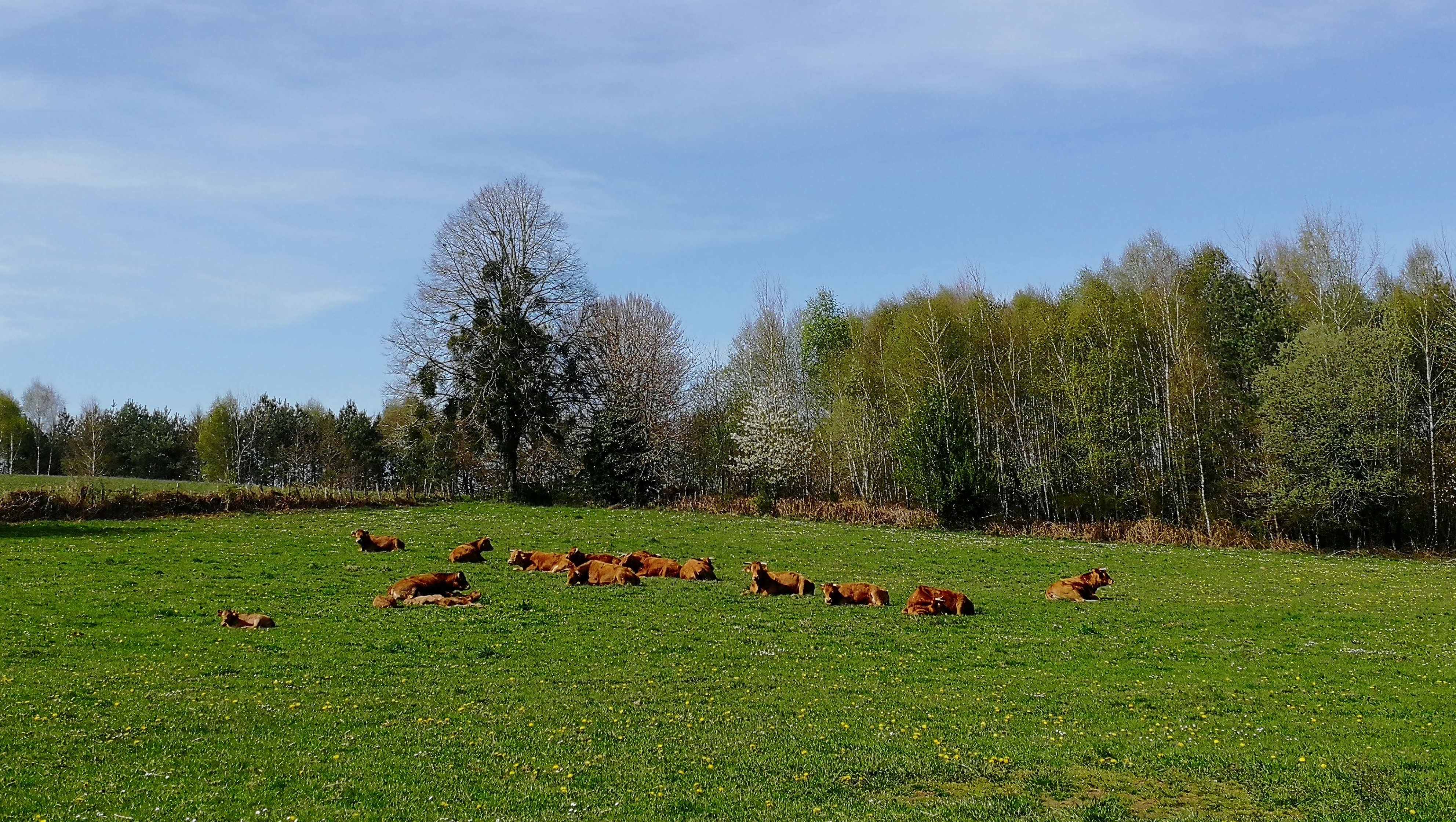 Entre Dordogne et Maronne