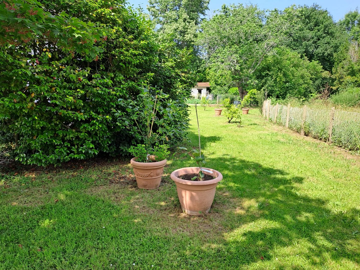 Gîte à Espelette