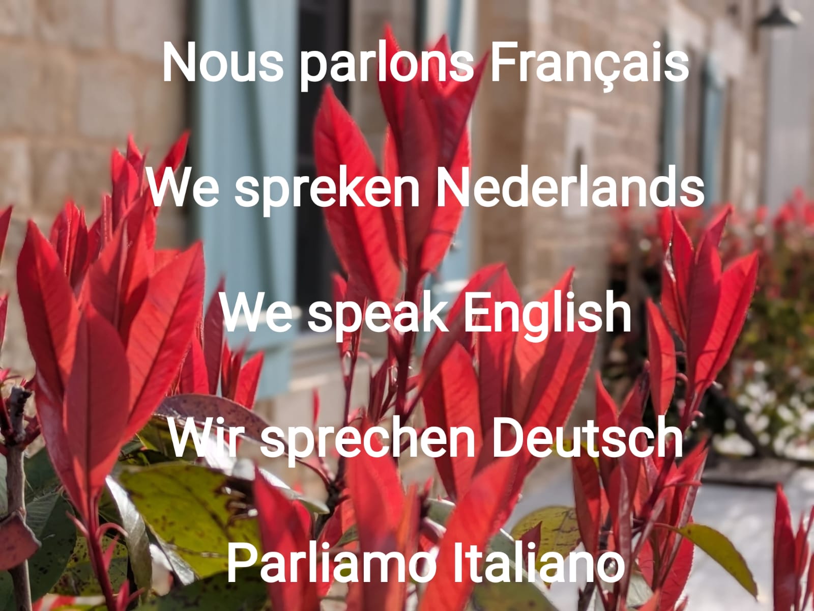 Au petit bonheur de Lorigné