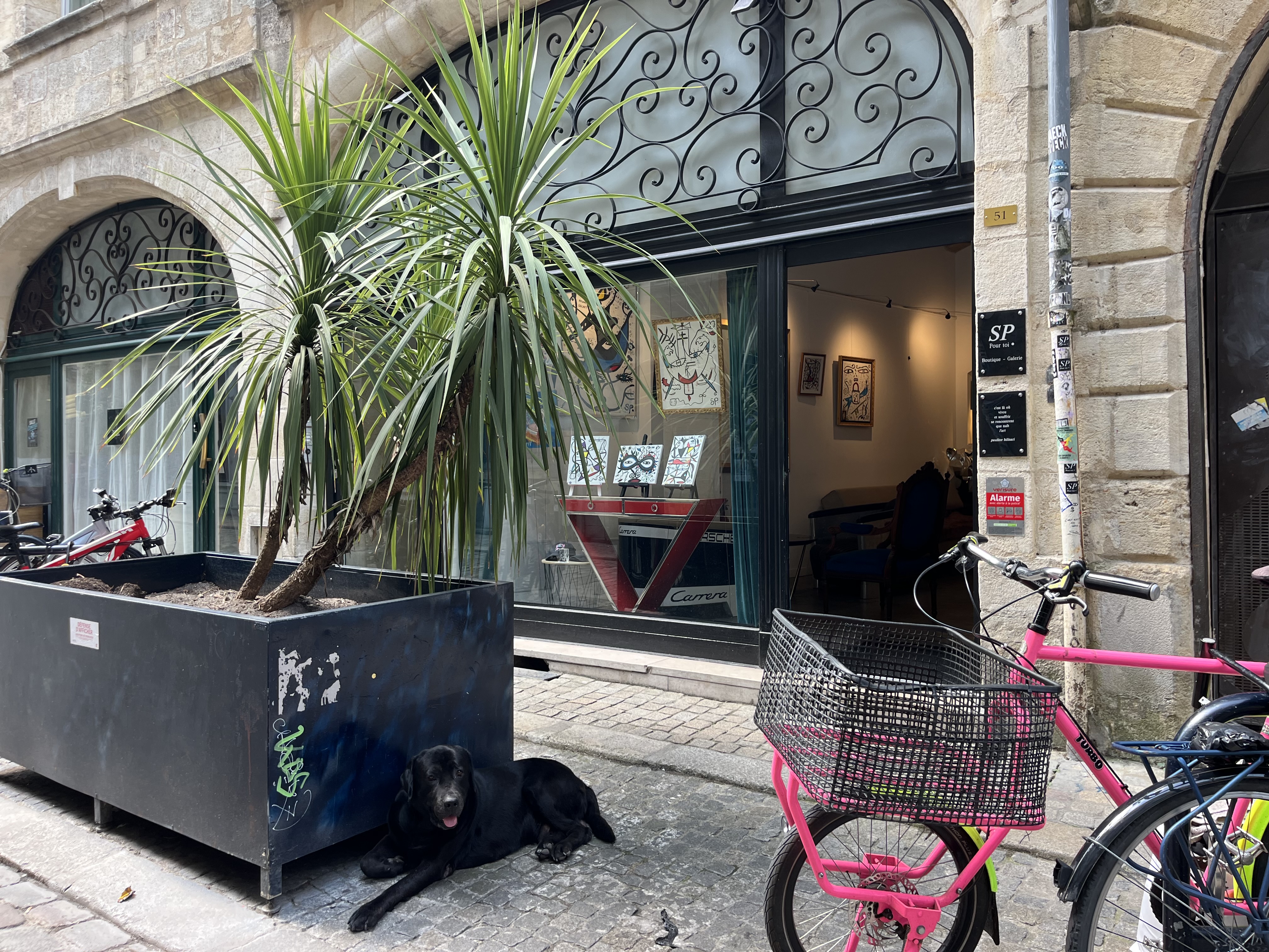 Galerie SP Pour toi