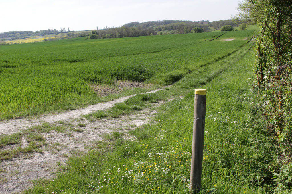 Pêcher à l'Etang Lescouroroux à Eymet - Boucle de Saint Julien d'Eymet