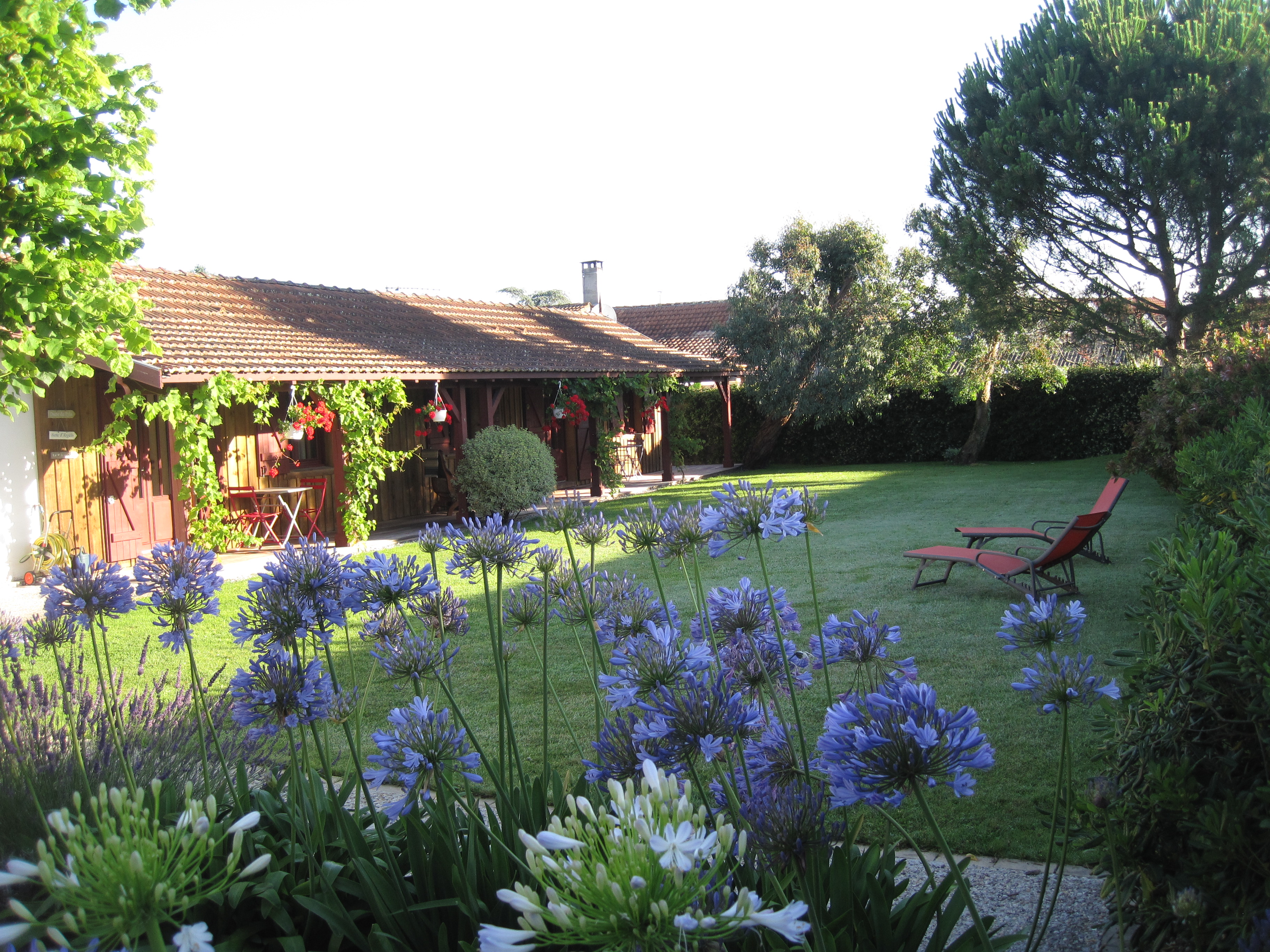 Chez Bella Côté Bassin - Chambres d'hôtes
