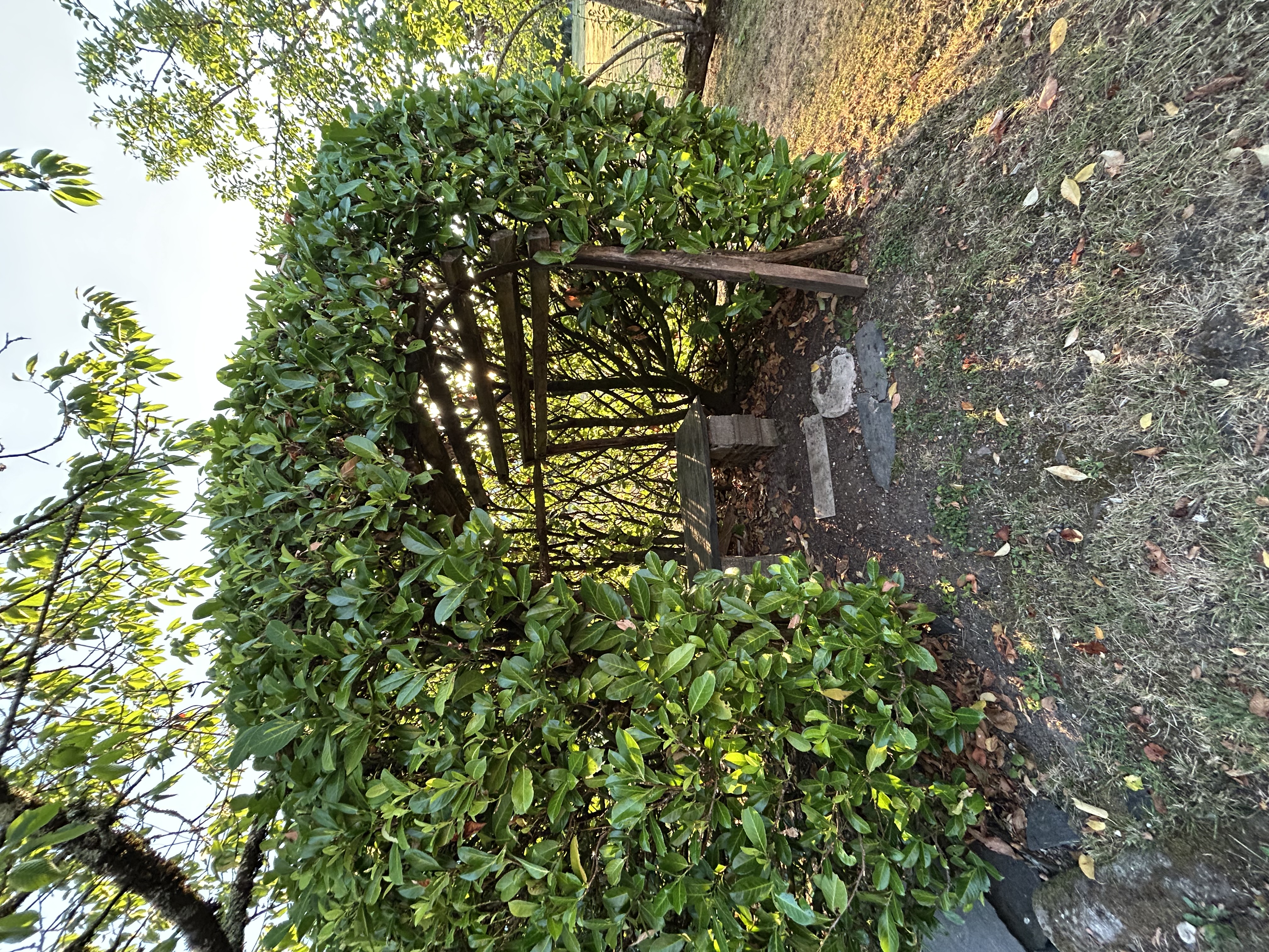 Gîte la