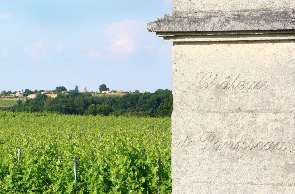 Visite viticole | Château de Panisseau