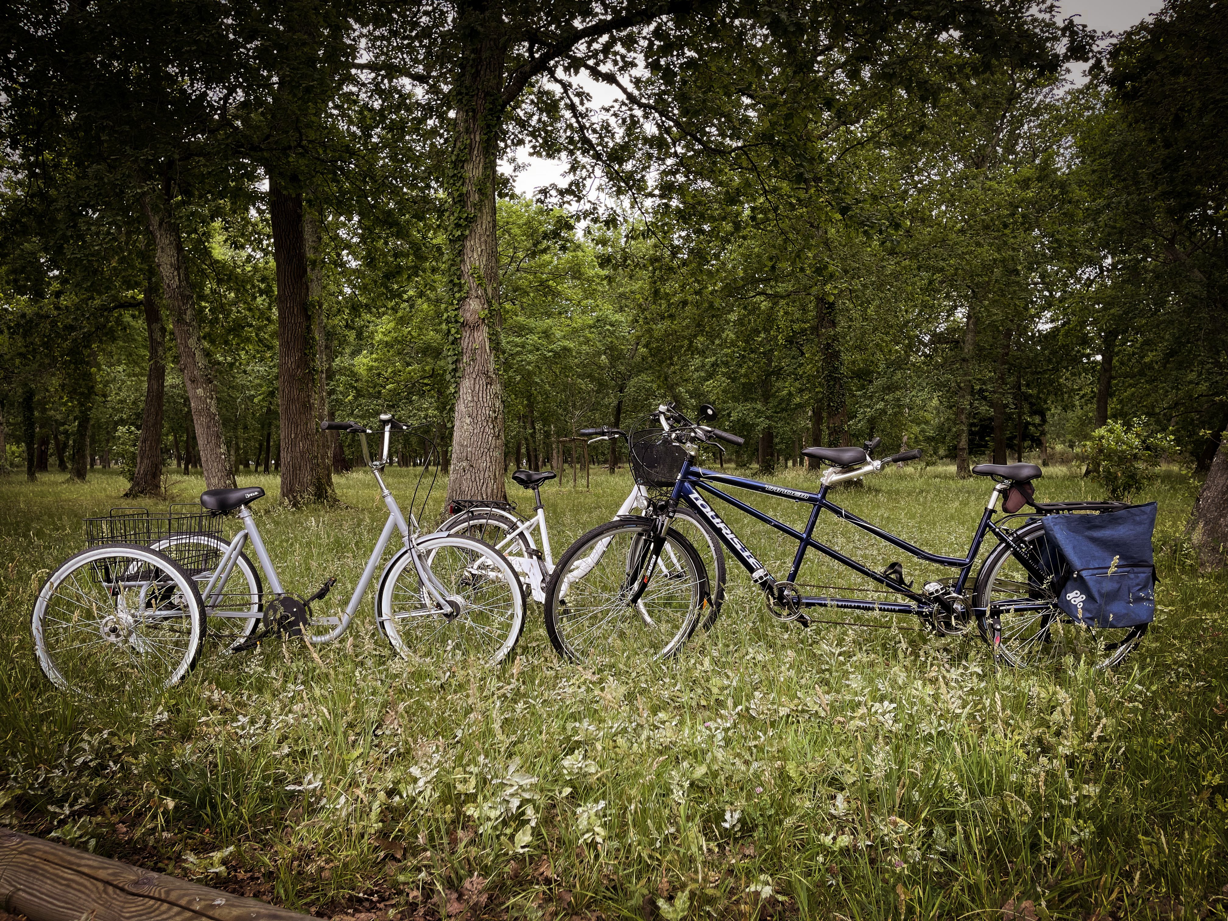 Bassin Loc Bikes