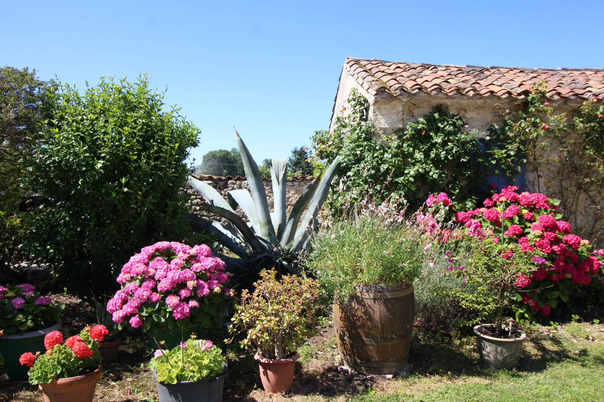 Gîte de Potensac