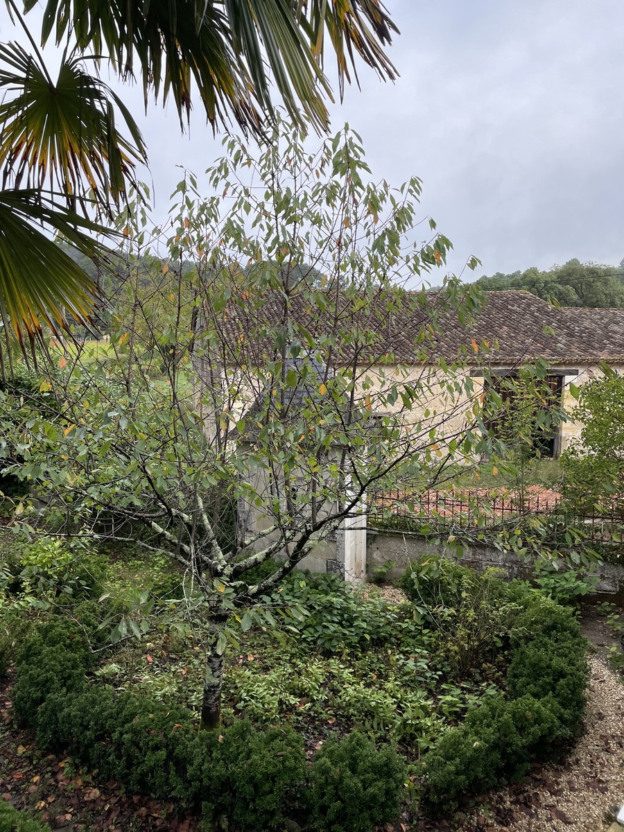 Domaine du Baron