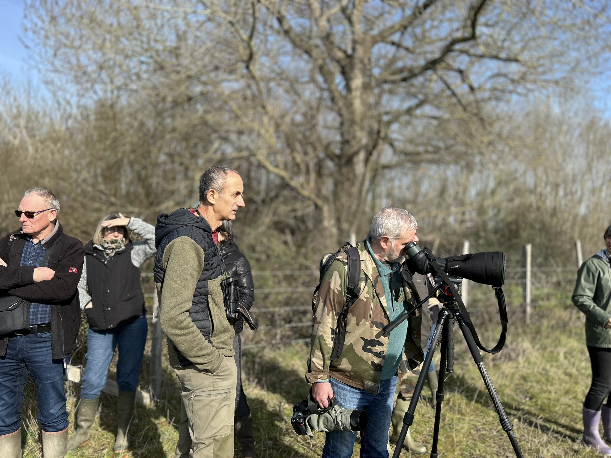 Observation des oiseaux migrateurs