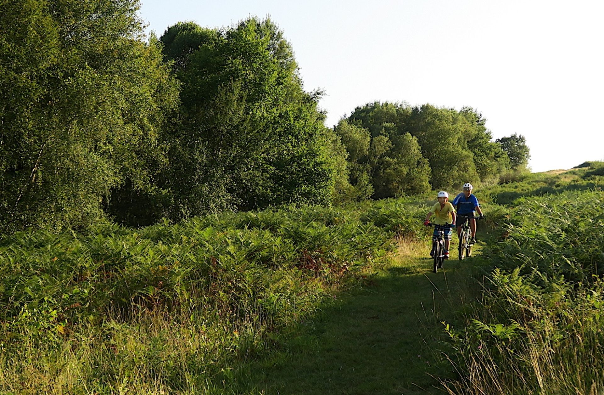 VTT N°73 - Bois de Haut