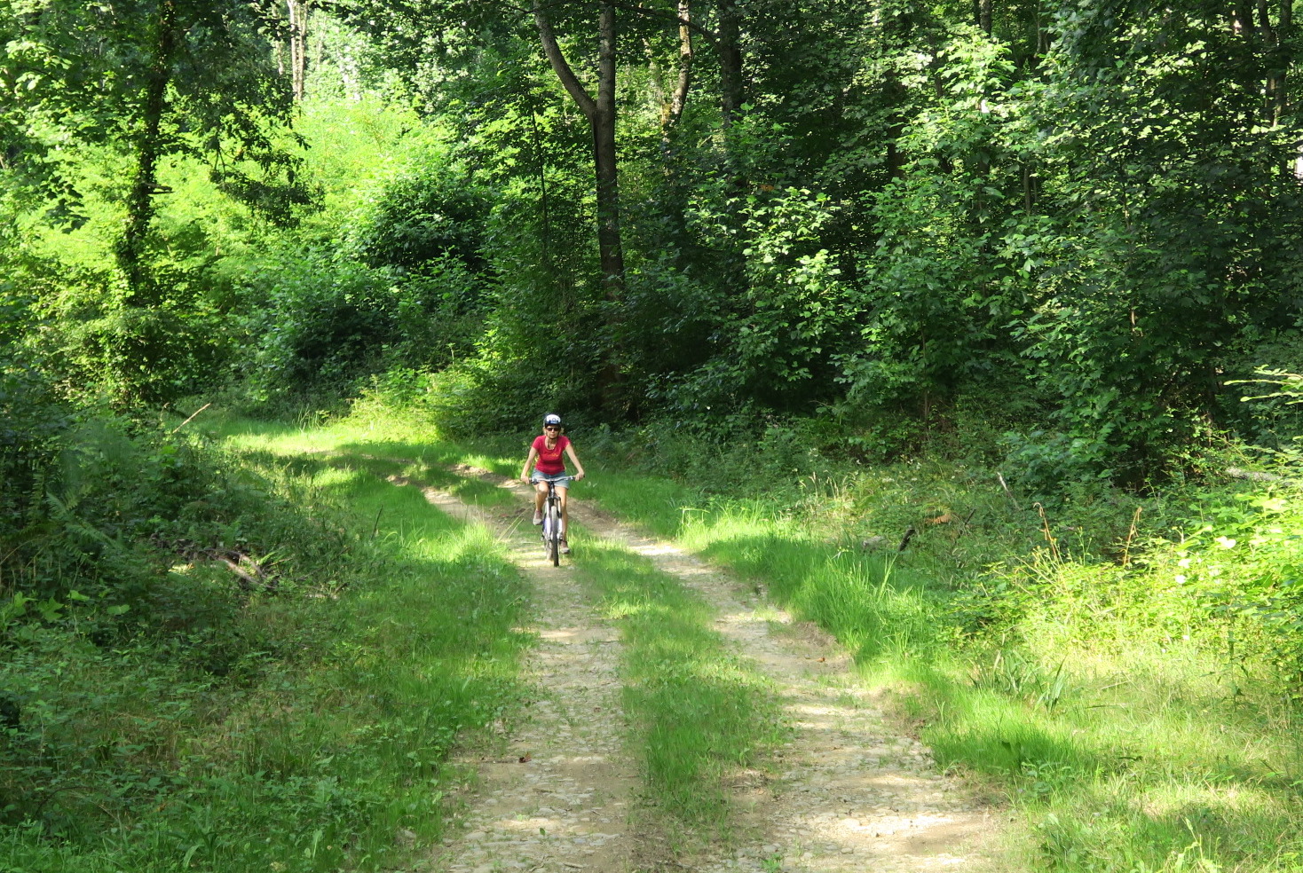 VTT N°71 - Le Bois de Saint-Pée