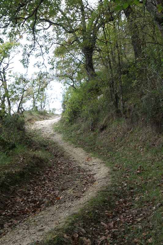 A Geaune, circuit de Paouilhé