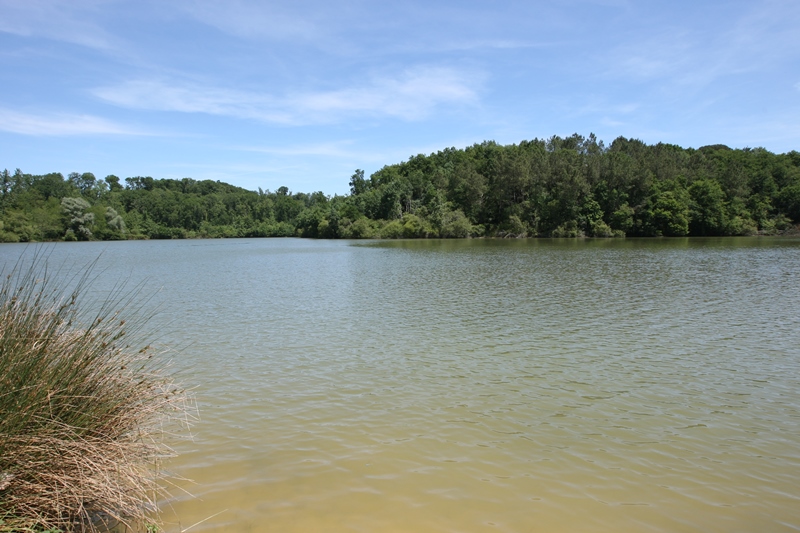 A Cazalis, circuit des lacs d'Halco et des Fontaines