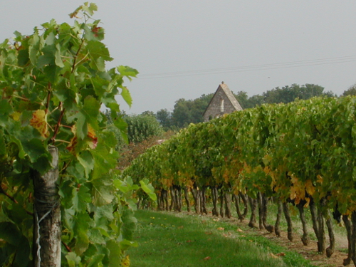 Loubès-Bernac, aux confins de la Gironde et de la Dordogne