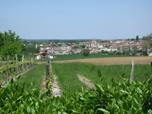 De Mézin à Villeneuve-de-Mézin, sur la route de Compostelle