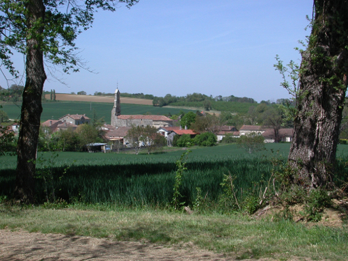 De Lannes à Mézin, le parfum de l'Armagnac-Ténarèze
