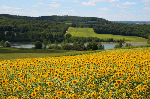 Sainte-Gemme, randonnée dans les collines Gasconne
