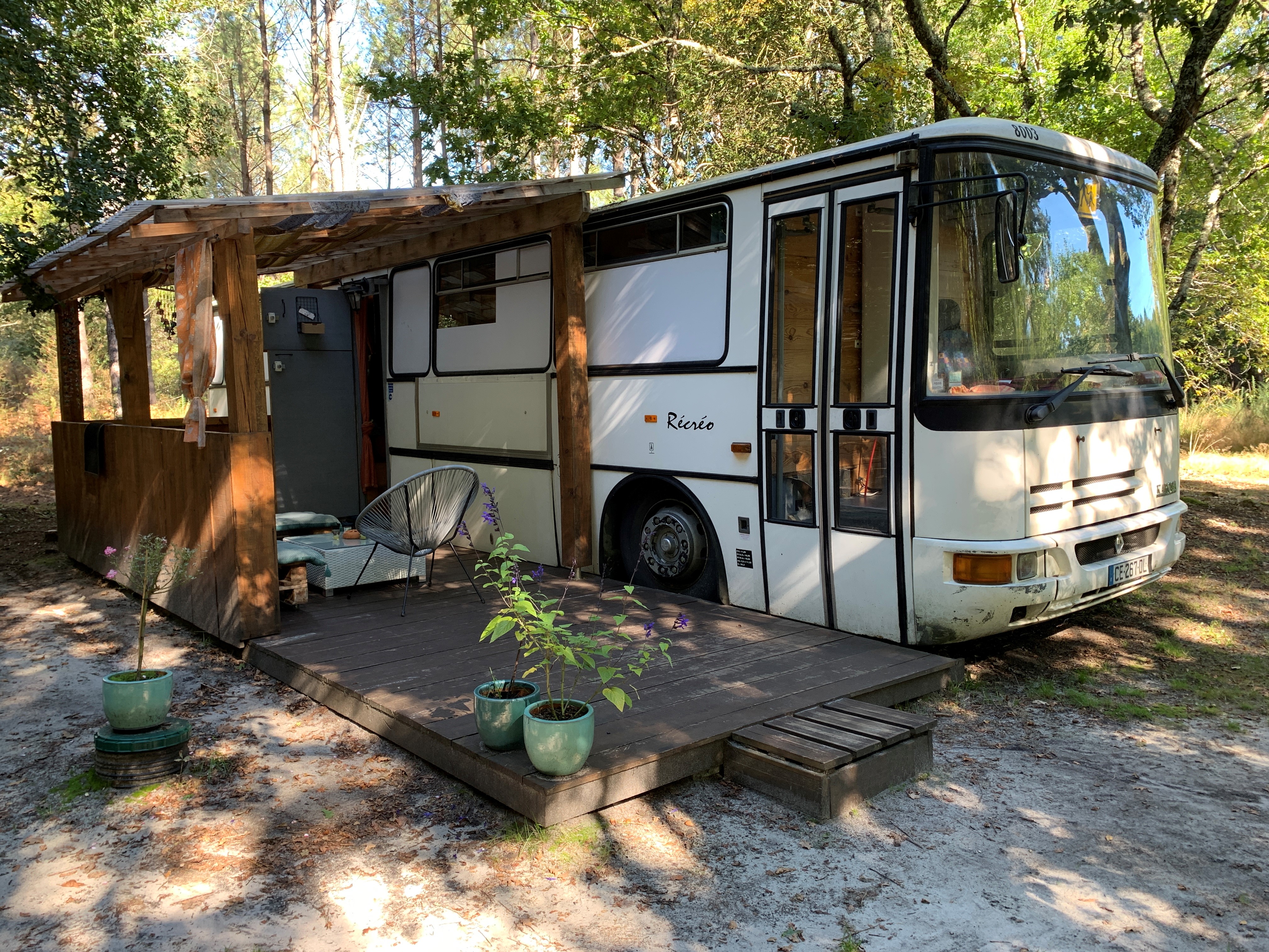 Into the Wild