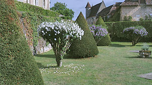 Jardin du Château de Montréal
