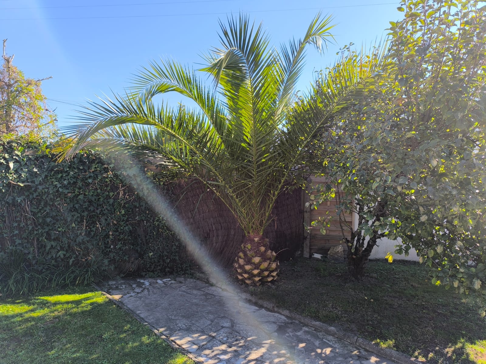 Maison Jarry
