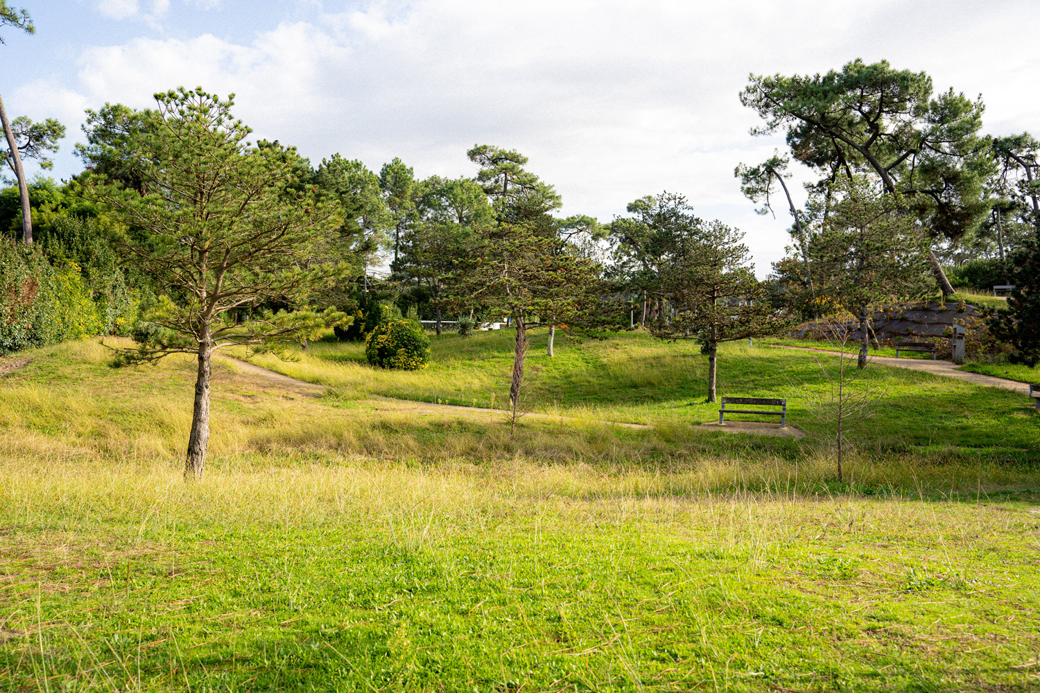Jardin Lichtenberger