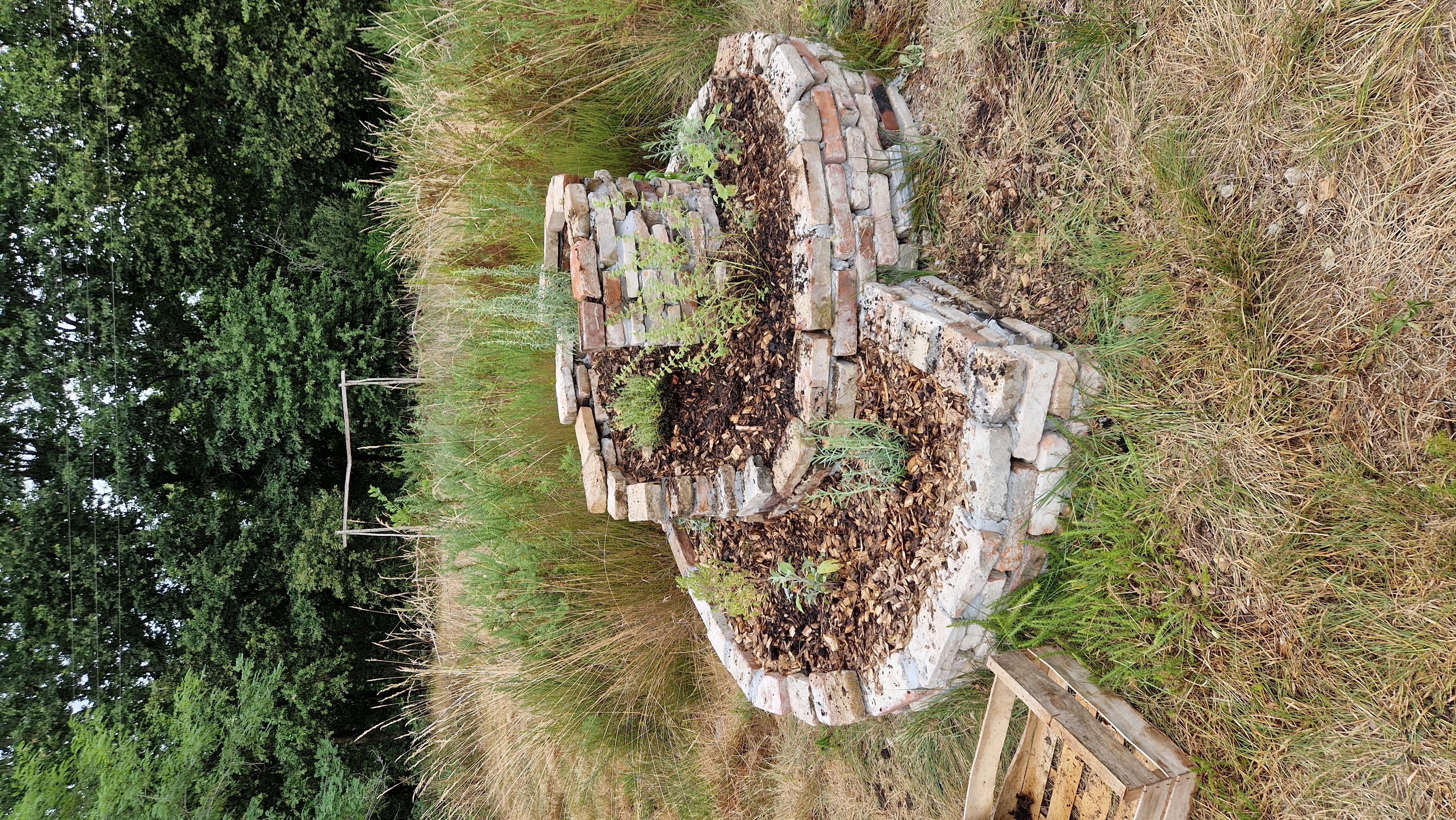  Jardin des abeilles @A_Magliari 