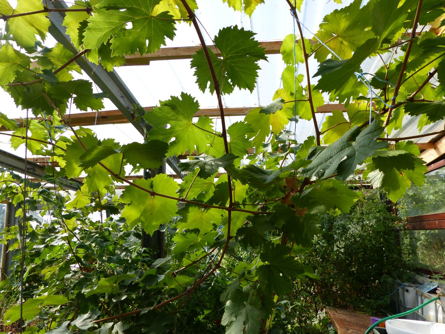 Jardin Epicurien
