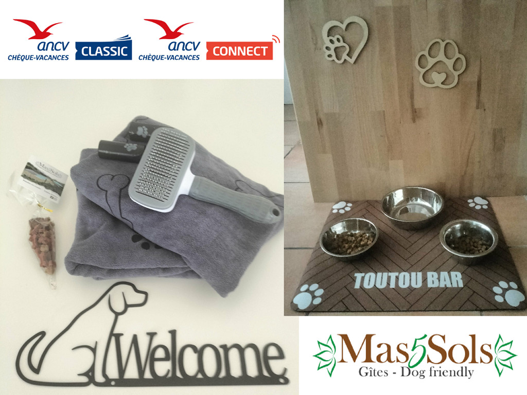 Mas Cinq Sols - Gite les 2 fours