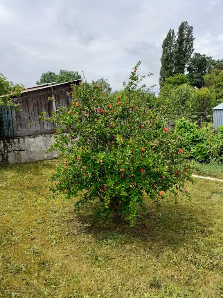 Gîte à Montpon-Ménestérol