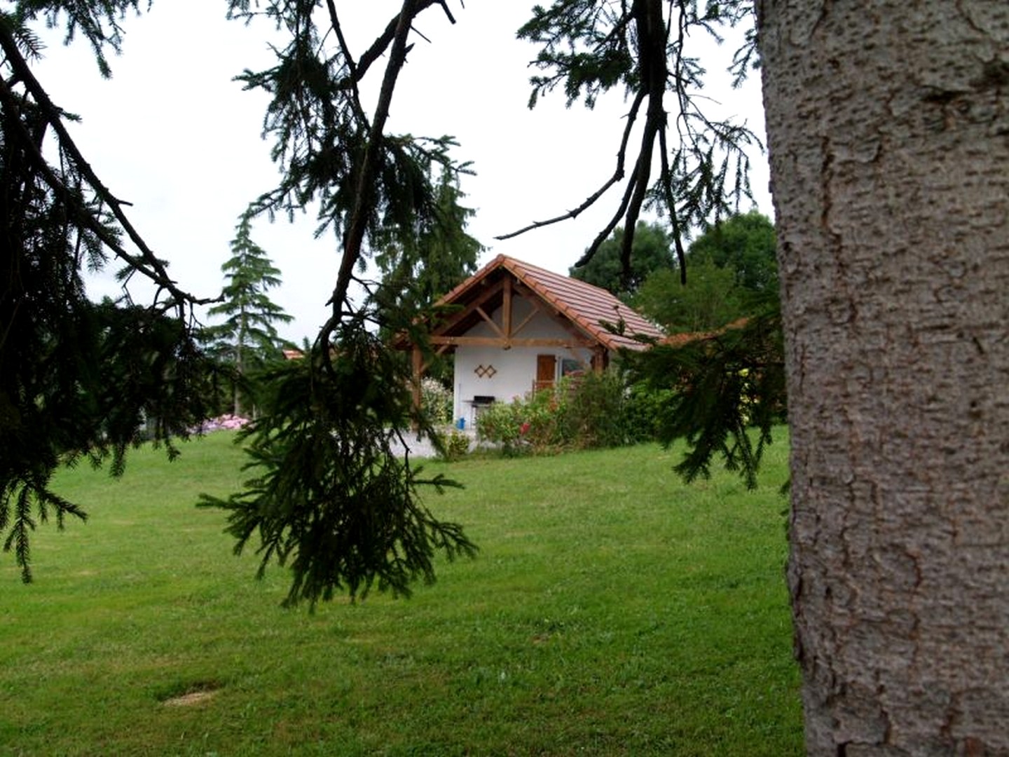 Beroye viste