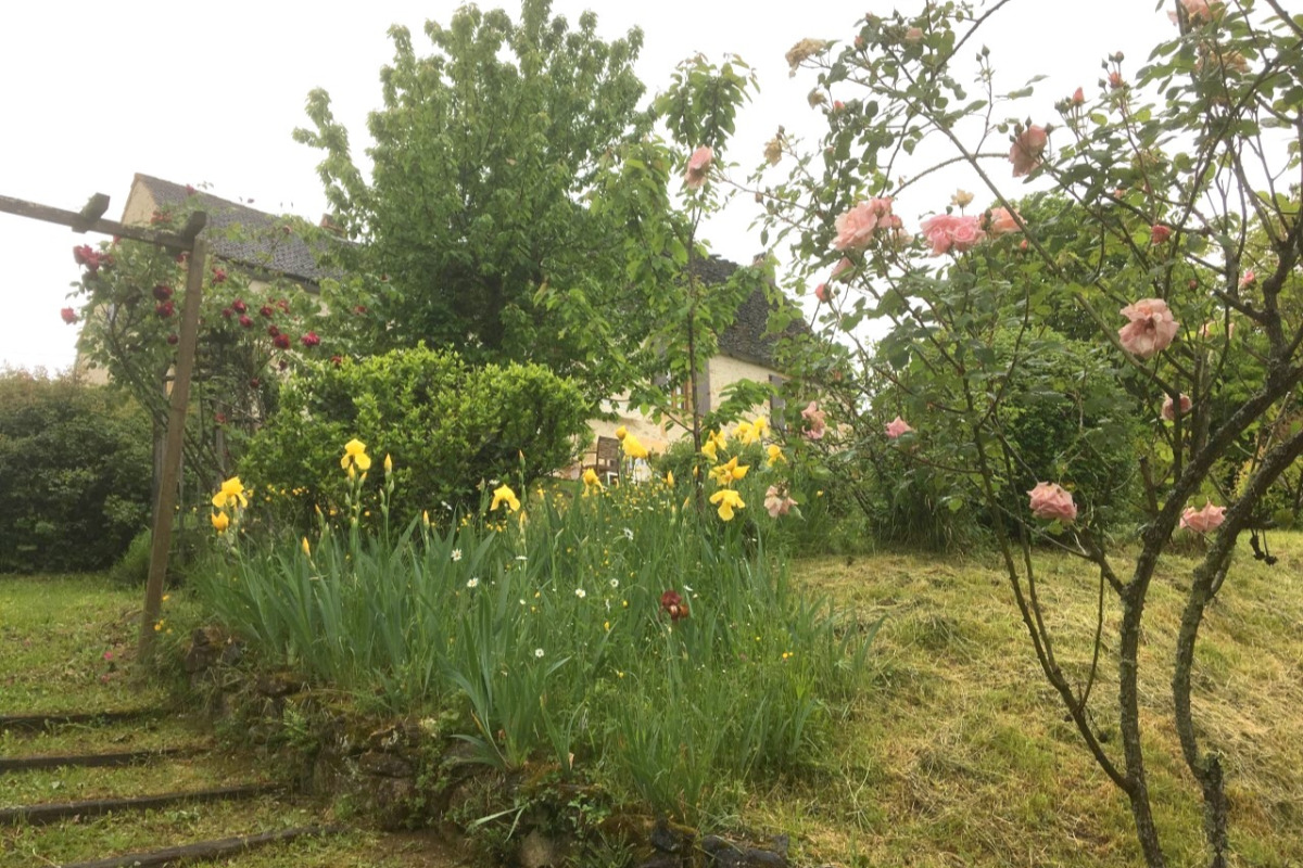 La Maison de Lassagne - Les Roses