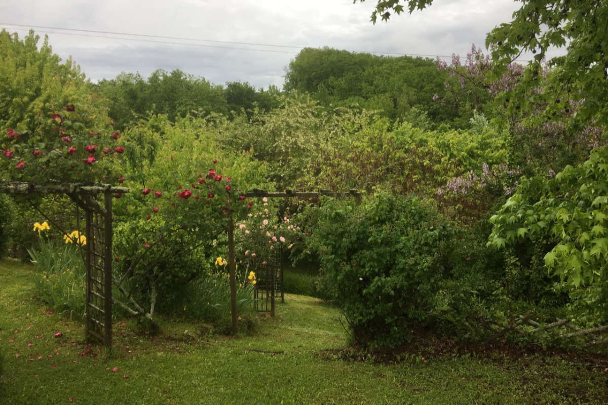 La Maison de Lassagne - Les Roses