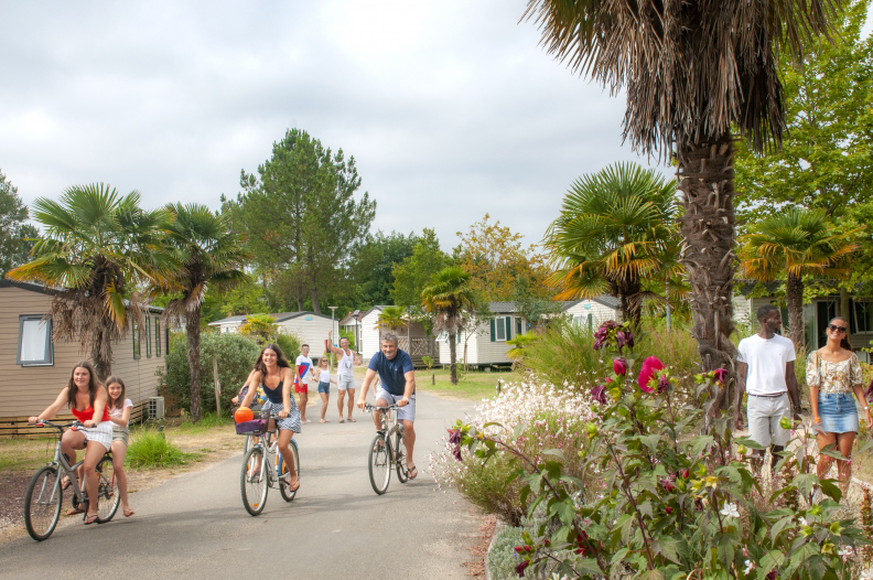 Camping les Vignes