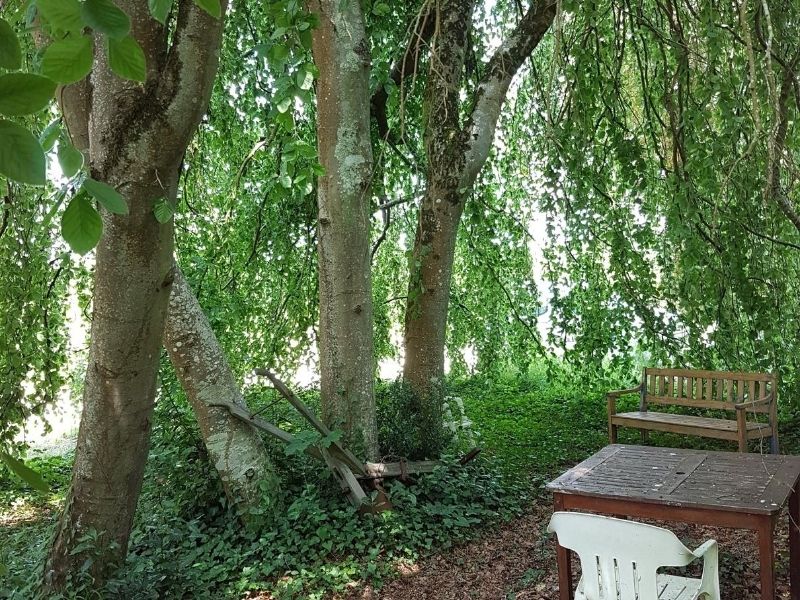 La Grange aux Arbres - Gîte Hêtre