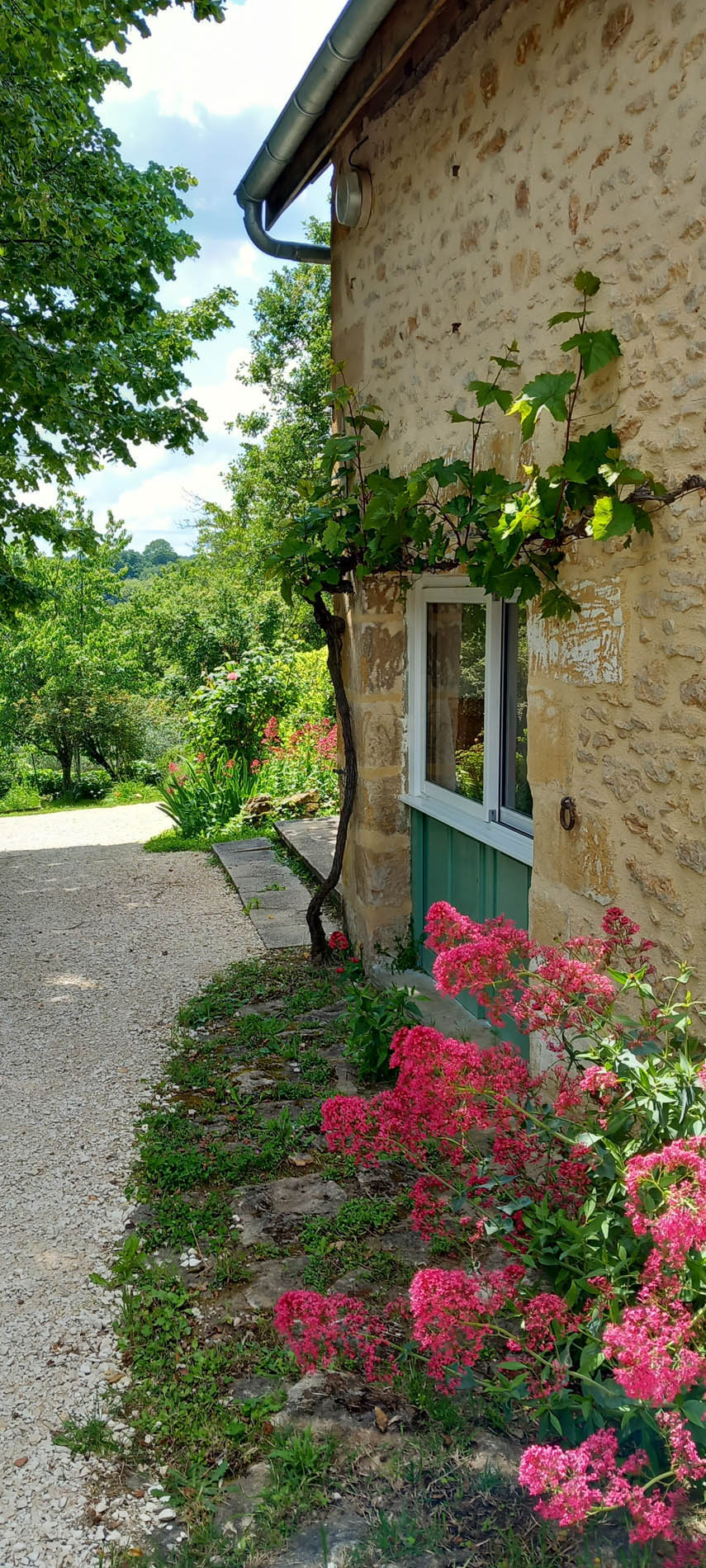La Vigne