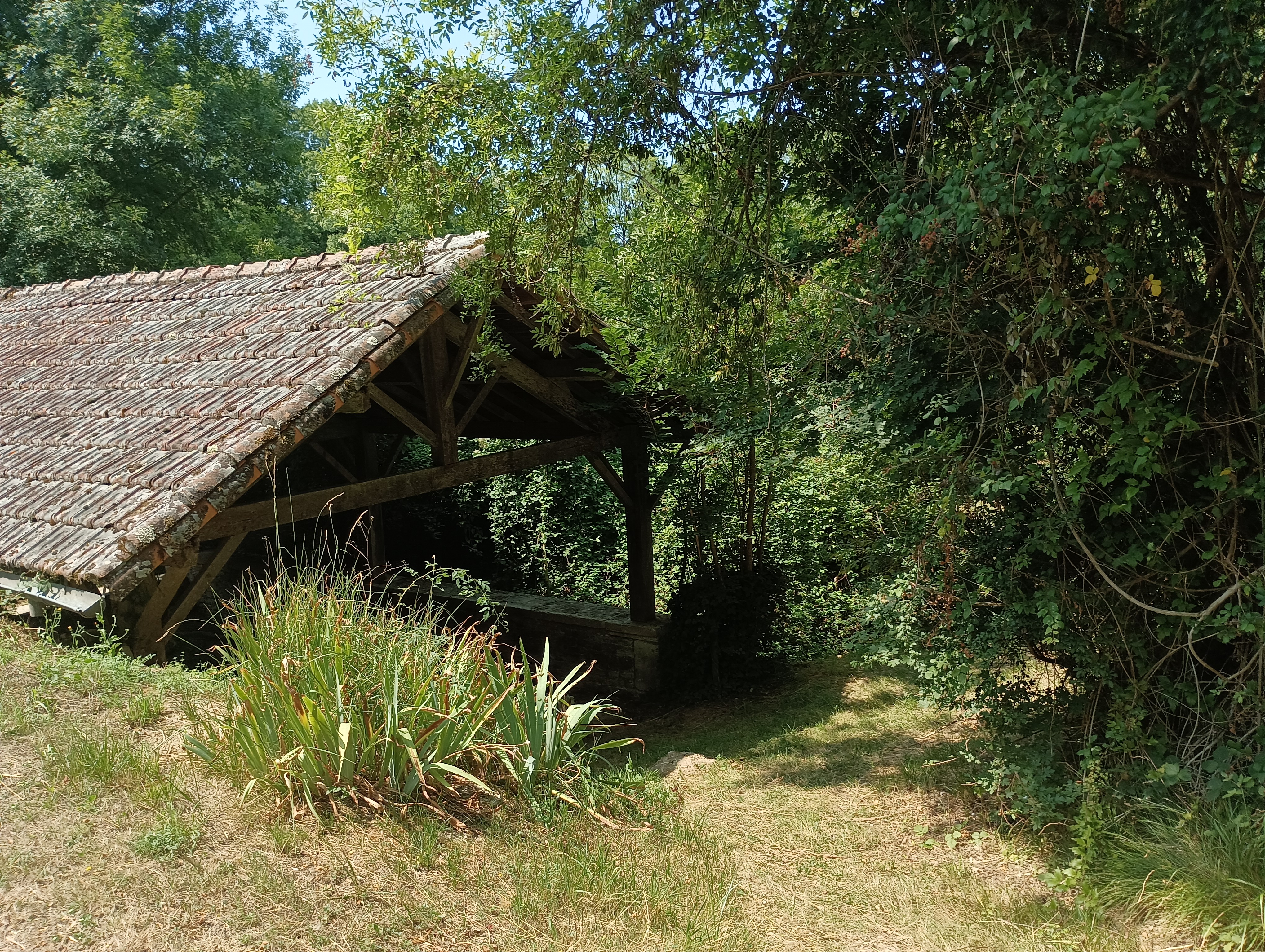 La coulée de la Doue - Crézières