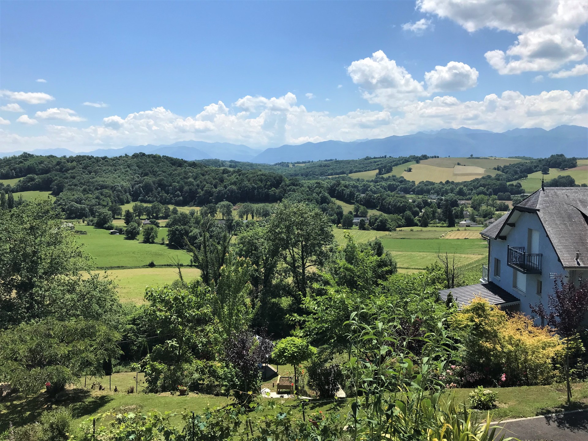 Le Belvue
