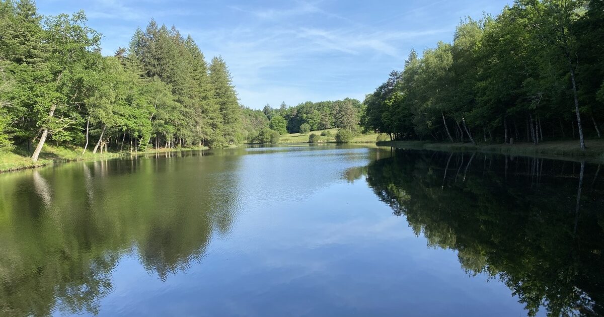 Etang de la Gane