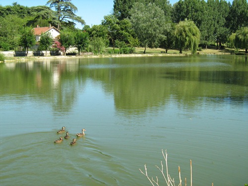 Lac de Lauzun