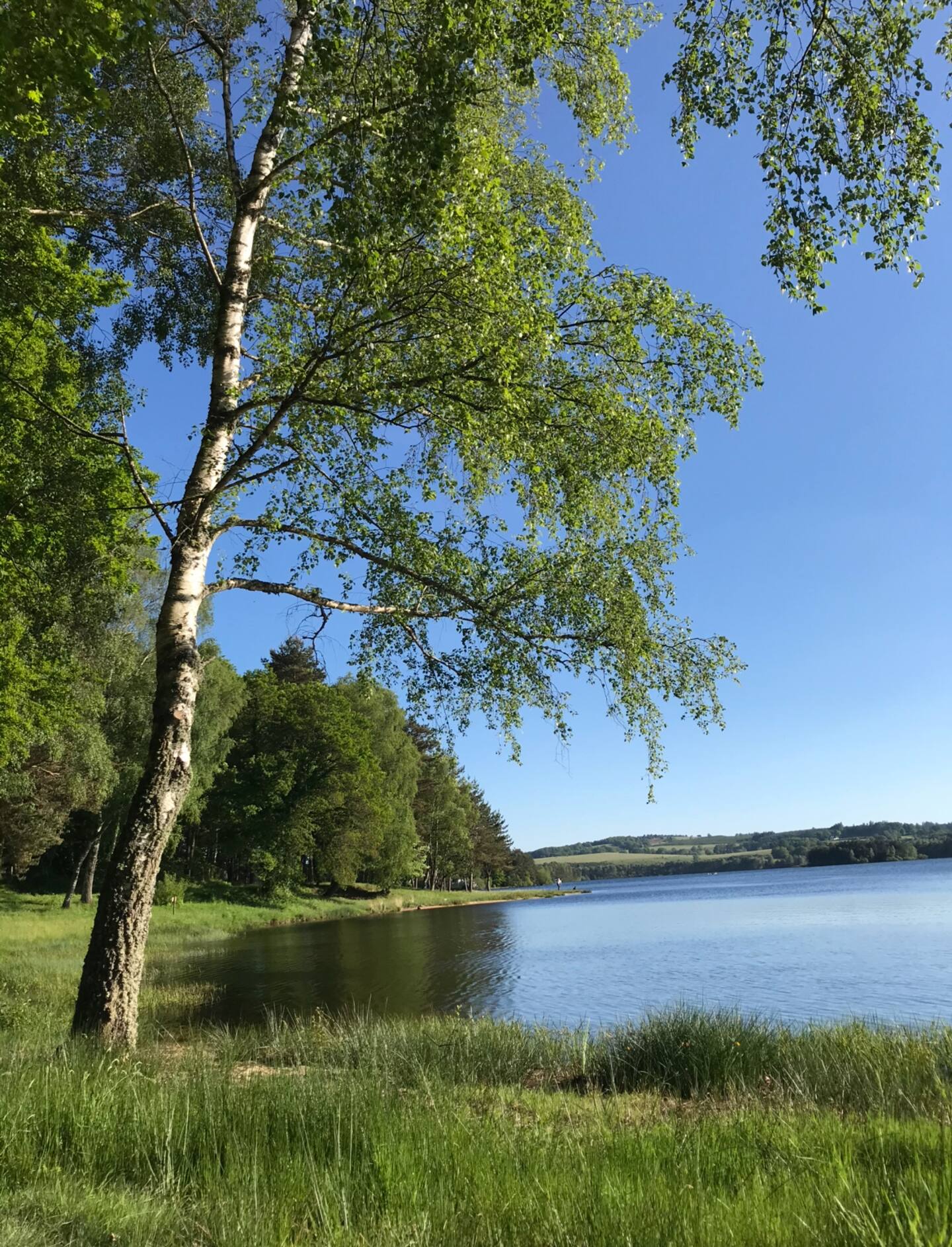 Gîte des Lacs