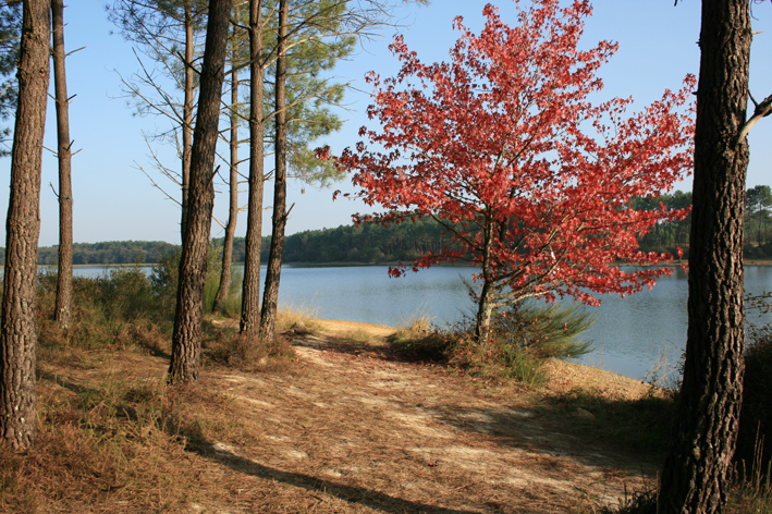 Lac Peyrot