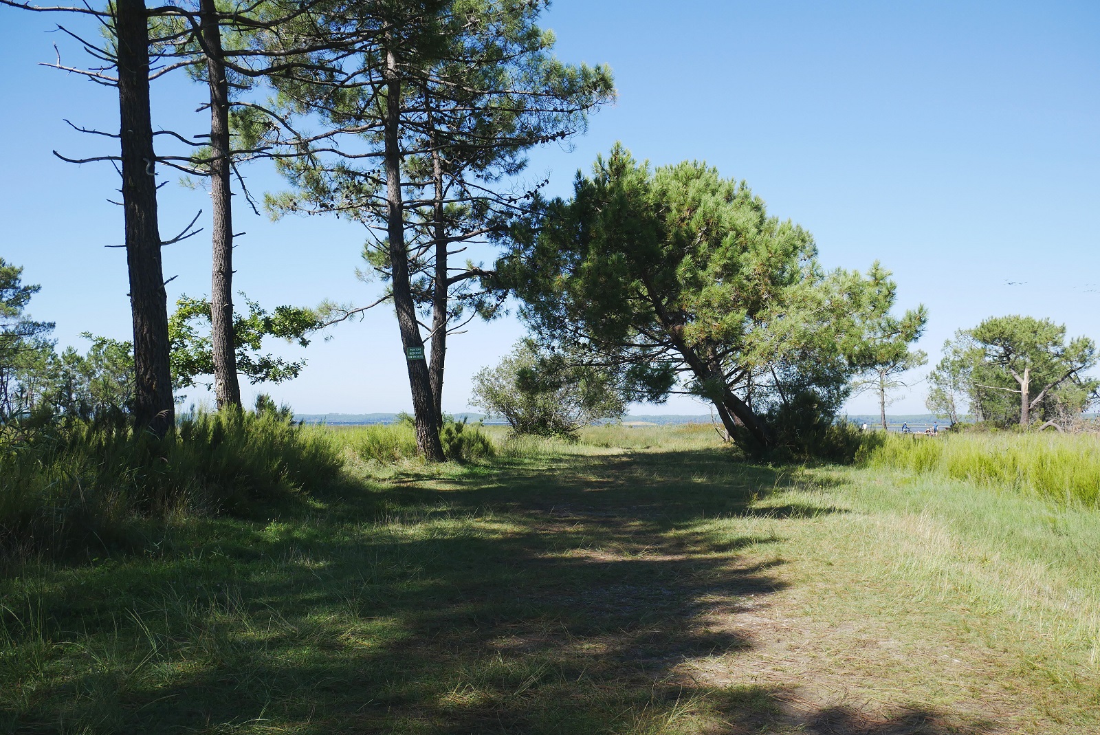 Aire de pique-nique de Hourtin Lachanau